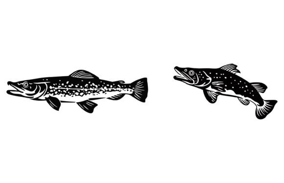 Download River Pike Fish Illustration - Illustration Collection