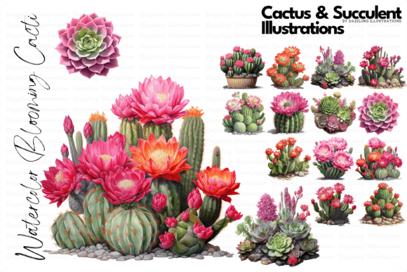 Download Cactus and Succulent Illustrations - Illustration Collection