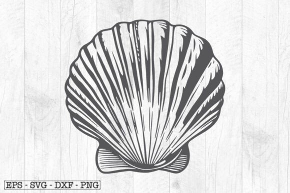 Download Sea Shell Illustration , Shell Svg - Illustration Collection