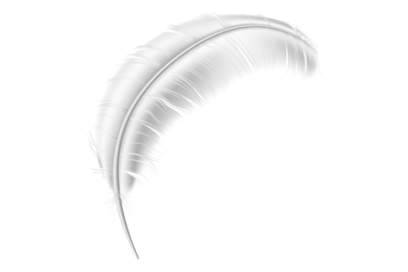 Download White Quill Mockup. Realistic Curved Bir - White Collection