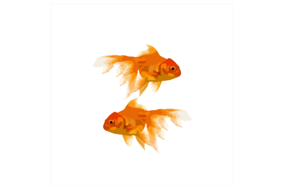 Download Koi Golden Fish Illustration - Illustration Collection