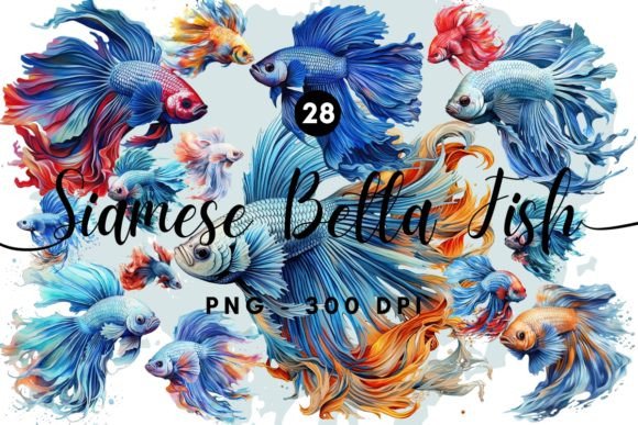 Download Siamese Betta Fish Illustration Clipart - Illustration Collection