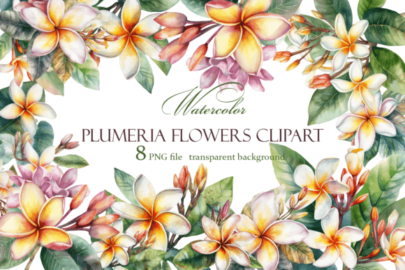 Download White Plumeria Flower Watercolor Clipart - White Collection