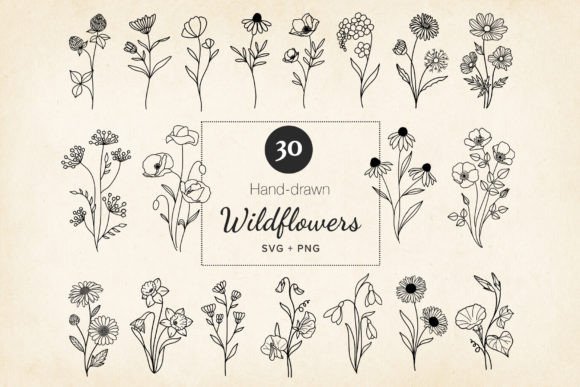 Download Minimal Wildflowers Set SVG, EPS, PNG - Minimal Collection