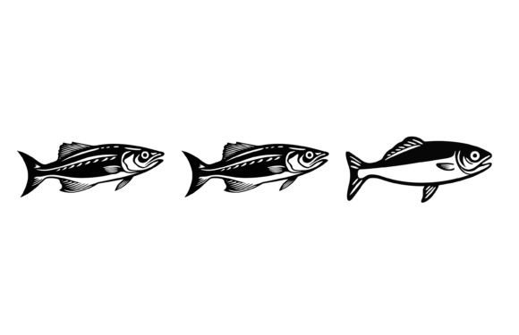 Download River Sardine Fish Illustration - Illustration Collection