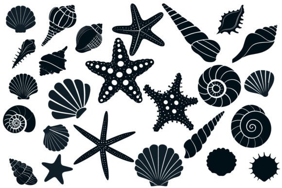 Download Sea Shell Starfish Beach SVG Silhouette - Beach Collection