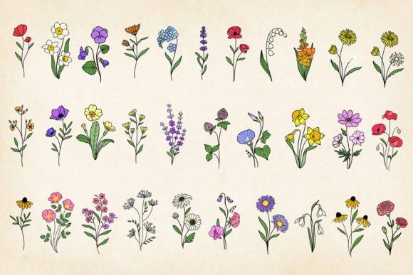 Download Hand-drawn Minimal Wildflowers Bundle - Minimal Collection