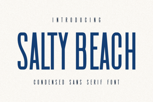 Download Salty Beach - Beach Collection