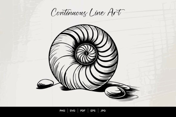 Download Nautilus Shell Line Art Illustration - Illustration Collection