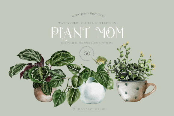 Download House Plants Illustrations and Patterns - Illustration Collection